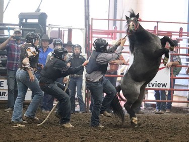 The Wild Pony races at the Hanna Indoor Pro Rodeo were a success with the ponies doing their best to prevent from being ridden at the Hanna Arena in Hanna, Alta. on Sept. 17. The event was well attended by spectators and participants alike. Jackie Irwin/Postmedia