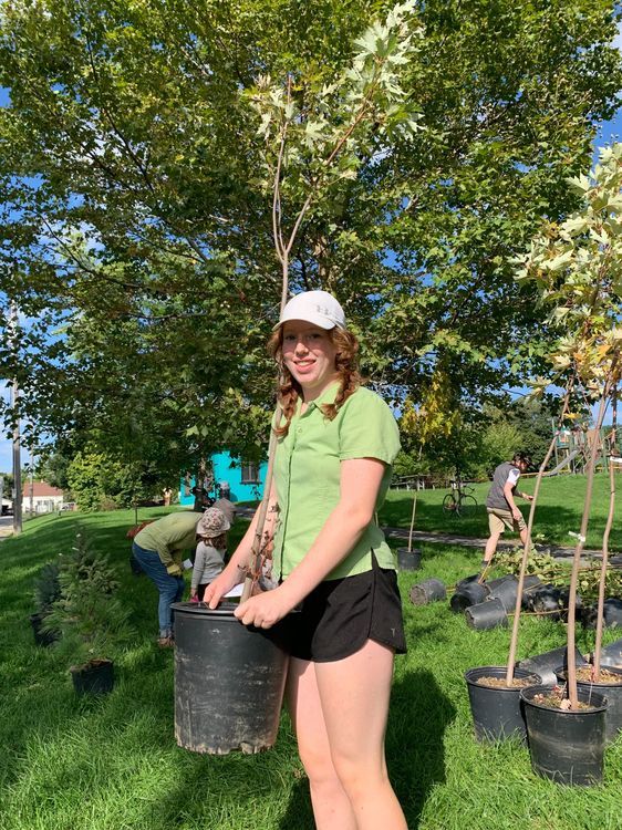 Neighbourhood tree-planting initiative sees 100 trees distributed | The ...