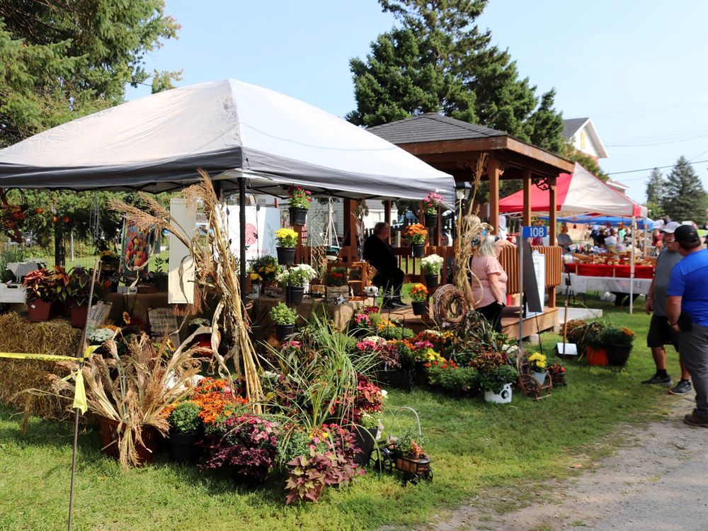 Turkey Fair returns to Lyndhurst in all its glory The Napanee Guide