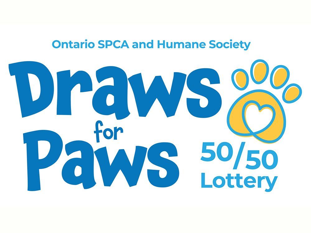 How to make food puzzles for your cat - Ontario SPCA and Humane