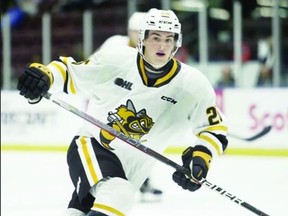 Tyson Doucette's overall play in '21-'22 led Sarnia to invite the speedy forward to its recent training camp and the 18-year-old youngster, who now stands in at 5-foot-11, 170 pounds, impressed the Sting enough to be signed to a standard Ontario Hockey League player contract. POSTMEDIA