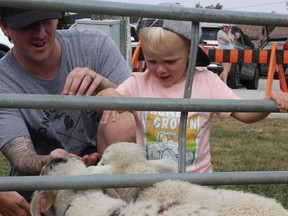 Jordan Poore and his two-year-old son Iver feed the sheep at the Plympton-Wyoming Fall Fair Saturday. The fair was two instead of three days this year, amid its return after a two-year hiatus. (Tyler Kula/ The Observer)