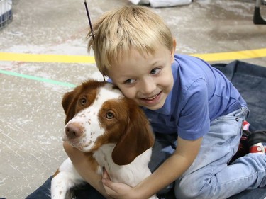 Austen Hall, 5, hugs Dixie at the Sudbury and District Kennel Club dog show at the Toe Blake Memorial Arena in Coniston, Ont. on Friday September 16, 2022. The show continues Saturday and Sunday from 8 a.m. to 5 p.m. each day. John Lappa/Sudbury Star/Postmedia Network