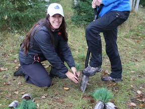 Jasmine Bureau, left, marketing and events coordinator at Kivi Park, and Kerry Lamarche, executive director of Kivi Park, hold some of the 23,000 trees planted at the park in Sudbury, Ont. on September 17 and September 18. Kivi Park has partnered with A&M Remediation to plant the trees at last weekend's Grow With Kivi event. A&M Remediation provided 21,000 trees while Vale added 2,000. The project "was created with the goal of doing our part to offset our carbon emissions and to add diversity to our forest," said a release from Kivi Park.