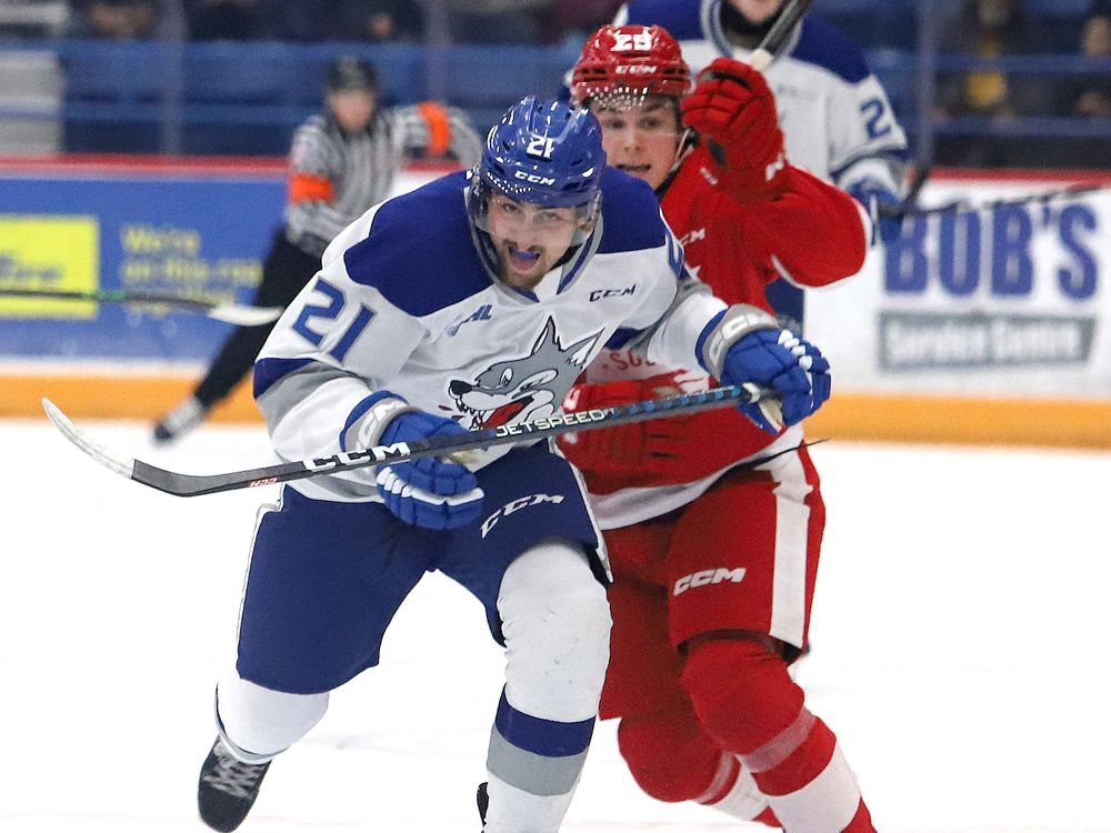 San Jose Sharks sign Quentin Musty of Sudbury Wolves to contract