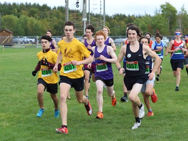 Athletes compete in the boys junior division at the 2022 Laurentian University Rumble on the Rock High School Cross-Country Meet at Laurentian University in Sudbury, Ont. on Tuesday September 27, 2022. About 400 competitors from Northern Ontario took part. John Lappa/Sudbury Star/Postmedia Network