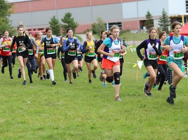 Athletes compete in the girls novice category at the 2022 Laurentian University Rumble on the Rock High School Cross-Country Meet at Laurentian University in Sudbury, Ont. on Tuesday September 27, 2022. About 400 competitors from Northern Ontario took part. John Lappa/Sudbury Star/Postmedia Network