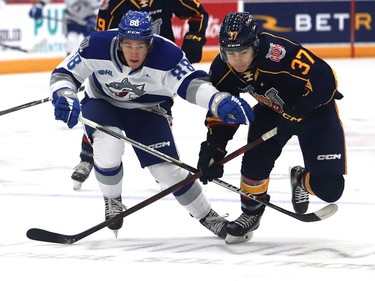 David Goyette, left, of the Sudbury Wolves, and Josh Kavanagh, of the Barrie Colts, chase down the puck during OHL action at the Sudbury Community Arena in Sudbury, Ont. on Friday September 30, 2022. John Lappa/Sudbury Star/Postmedia Network