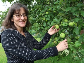Carrie Regenstreif, shown in this file photo, displays apples grown at a home in Sudbury. Sudbury's first Applefest goes this weekend. John Lappa/The Sudbury Star