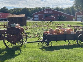Decorated tractors and wagons help advertise pumpkins for sale at the Szatrowski farm outside Simcoe. Norfolk County farms account for 38 per cent of the pumpkins grown in Canada. Postmedia