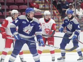 Soo Greyhound forward Ethan Montroy (left) and Christopher Brown (right) get behind Sudbury Wolves defenceman Jacob Holmes (#74) and d-man Conor Walton (#4)  during the first period of Saturday night’s OHL pre-season opener at the GFL Memorial Gardens. The Hounds picked up a 5-2 win over the Wolves.