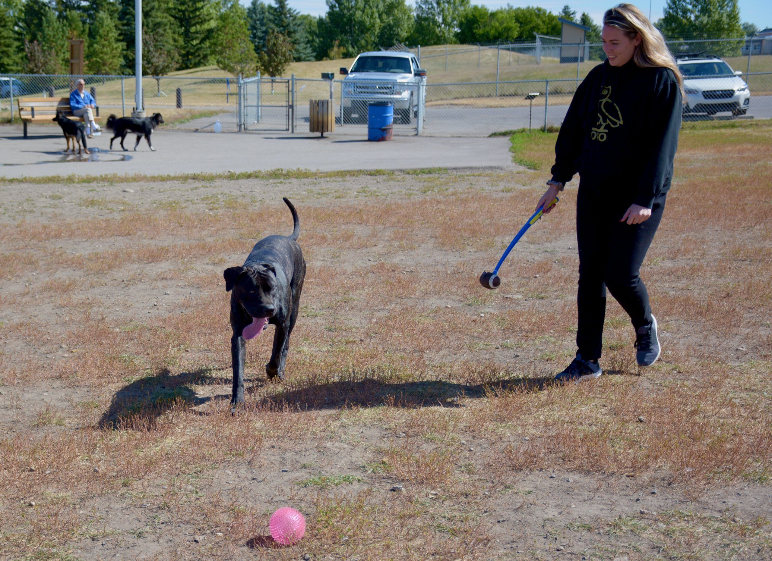 happy-paws-vet-clinic-opens-east-airdrie-location-airdrie-echo