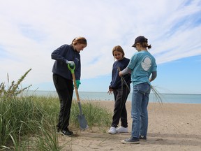 Molly Towton, Ruby Zuzek and Abby Zuzek are among those with the Coastal Conservation Youth Corps who have been helping restore beach-done vegetation. Handout
