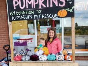Finley, 7,  and brother Forest, 5,  set up shop at Krause Farms in Powassan to sell the pumpkin decorative pieces they made to raise money for Almaguin Pet Rescue. The Trout Creek youngsters sold the pumpkin items at four different events and raised $1,246.20 for the pet organization in Sundridge.