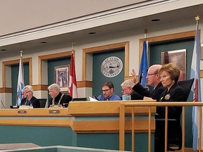 A file photograph of St. Clair Township council.