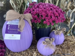 The Children's Aid of the District of Nipissing and Parry Sound are encouraging the public to wear purple Oct. 27 in support of children in crisis.