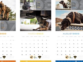 The 2023 OPP Canine Unit Calendar features dogs in the line of duty.
