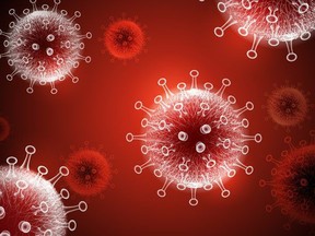 Medical illustration of coronavirus disease COVID-19 infection.  China pathogen respiratory influenza covid virus cells.  New official name for coronavirus disease named COVID-19, pandemic risk background