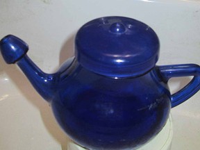 Bring relief by using a Neti pot to clear plugged nasal passages and stop sneezing due to allergens. For good measure, follow up with a cup of green tea made from loose tea leaves. (Ted Meseyton)