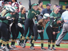 St. Clair College players celebrate a home run on Saturday, October 8, 2022, against UBC during the Canadian Collegiate Softball Association championship in Windsor. (Windsor Star - Dan Janisse)
