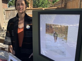 Julie Whitbread with a photograph of a coyote that she took while on a trail by the Grand River. The wildlife and nature photographer was one of 44 artists to participate in the Holmedale Art Crawl on Sunday. The event brought a lot of visitors to the neighborhood which has become a creative hub for the community. Vincent Ball