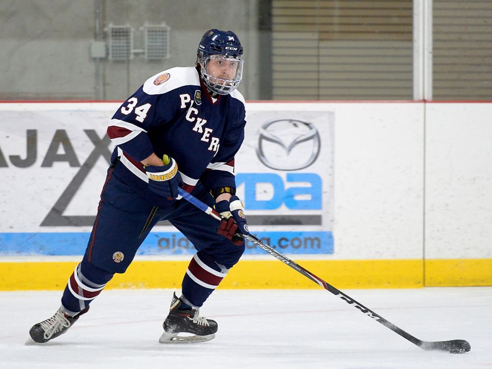 Port Dover sails up PJHL standings Brantford Expositor