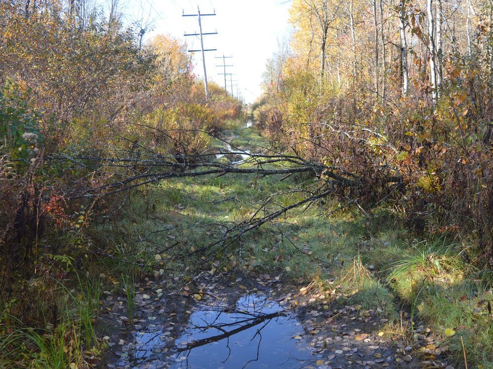 Prescott council approves sale of land for new homes Brockville