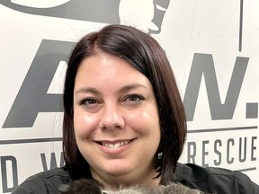 Pet and Wildlife Rescue employee Amanda McDougall holds some of the kittens that have filled up the local animal shelter in Chatham. PHOTO handout