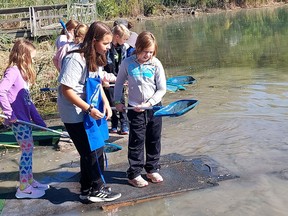 Chatham-Kent secondary school student Sydney Hawthorne, left, and Ridgetown St. Michael Catholic school student Isabelle Beer, 9, inspect what she scooped up from the pond at C.M. Wilson Conservation Area Wednesday during the Chatham-Kent & Lambton Children's Water Festival. (Ellwood Shreve/Chatham Daily News)