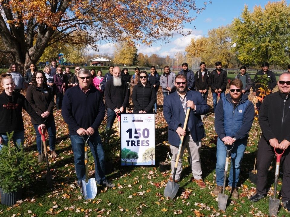 Partnership in South Glengarry helps replace diseased trees