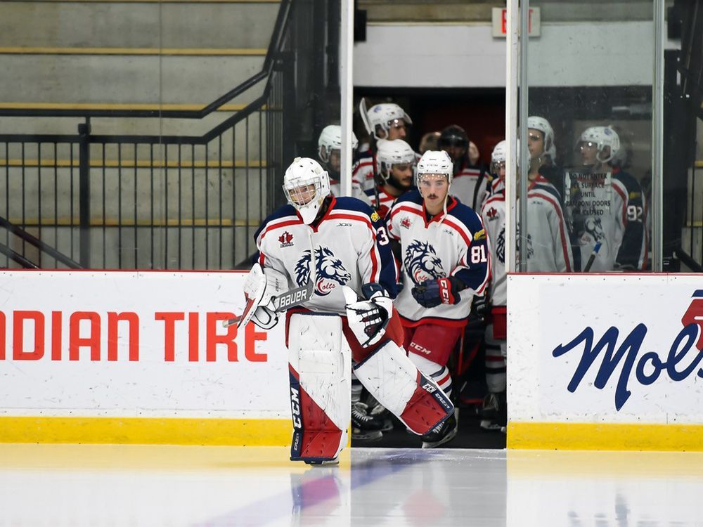 ICE HOCKEY, Jets vs Braves