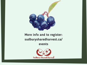 Sudbury Shared Harvest is holding a cooking workshop Oct. 12 that will deal with one of the lesser-known products of local forests: the aronia berry.
