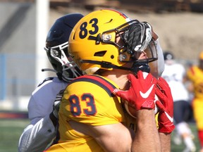 Queen's Gaels receiver Richard Burton catches the ball despite Toronto Blues' Ahmed Tolu having his hand in Burton's face during Ontario University Athletics football quarter-final playoff action in Kingston on Oct. 29