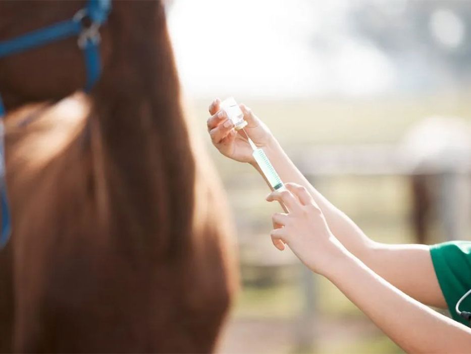 Canada, United Kingdom, make vet medicine deal