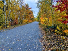 The Coalition for a Liveable Sudbury is inviting people to celebrate Autumn and the LU Greenspace with a walk and special activities on Saturday, Oct. 15. Lynn Kabaroff photo