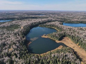 Three Treaty 9 First Nations have launched legal action against the Ontario government claiming forestry practices such as aerial spraying of pesticides including the herbicide glyphosate, has broken the Treaty 9 promise to enable First Nations to continue "their way of life and livelihoods" which include hunting, trapping, fishing, and harvesting wild plants for food and medicine.



Supplied