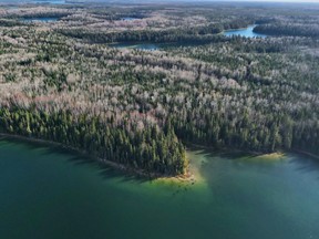 At 145,000 hectares, the Nature Conservancy of Canada's Boreal Wildlands Project near Hearst is the largest private land conservation project in Canada's history.

Supplied