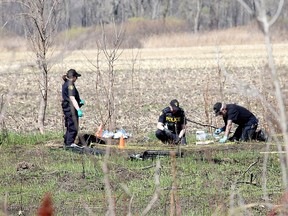 Members of the OPP forensic identification unit were photographed while meticulously scouring a section of land in the Walpole Island First Nation on April 13, 2021. (Ellwood Shreve/Postmedia Network)