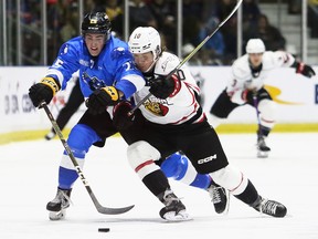 Owen Sound Attack's Luc Schweingruber, right, checks Sarnia Sting's Tyson Doucette in the first period at Progressive Auto Sales Arena in Sarnia, Ont., on Wednesday, Oct. 12, 2022. Mark Malone/Chatham Daily News/Postmedia Network
