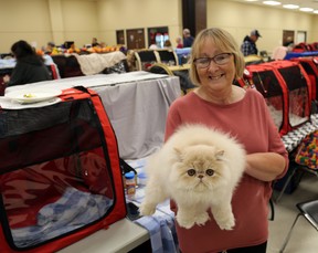 Four-month-old Persian kitten Crème Brûlée with breeder Shirley McCollow of Stoney Creek at the first Canadian Cat Association of Owen Sound cat show hosted by The No Name Cat Club at the Harry Lumley Bayshore Community Center on Saturday. Crème Brûlée won the prize for best kitten on Saturday afternoon. Greg Cowan/The Sun Times