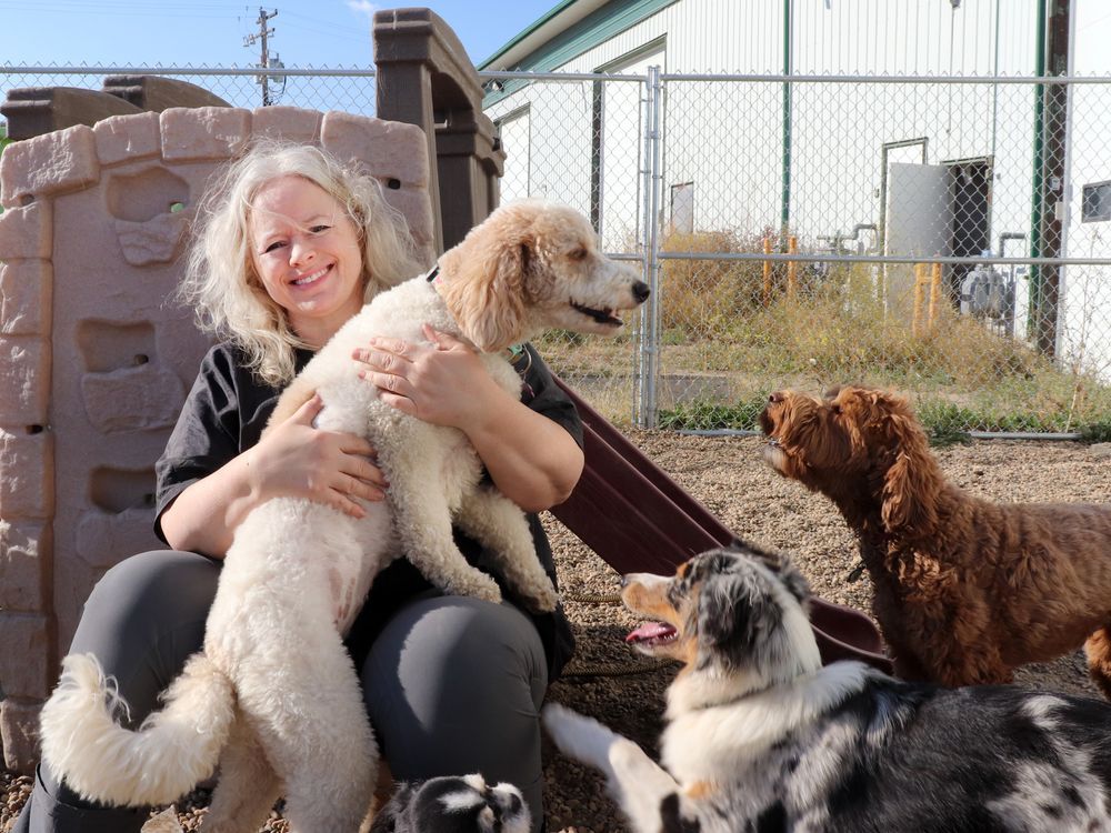 Pet fanciers, growers served by new small businesses Entrepreneurs