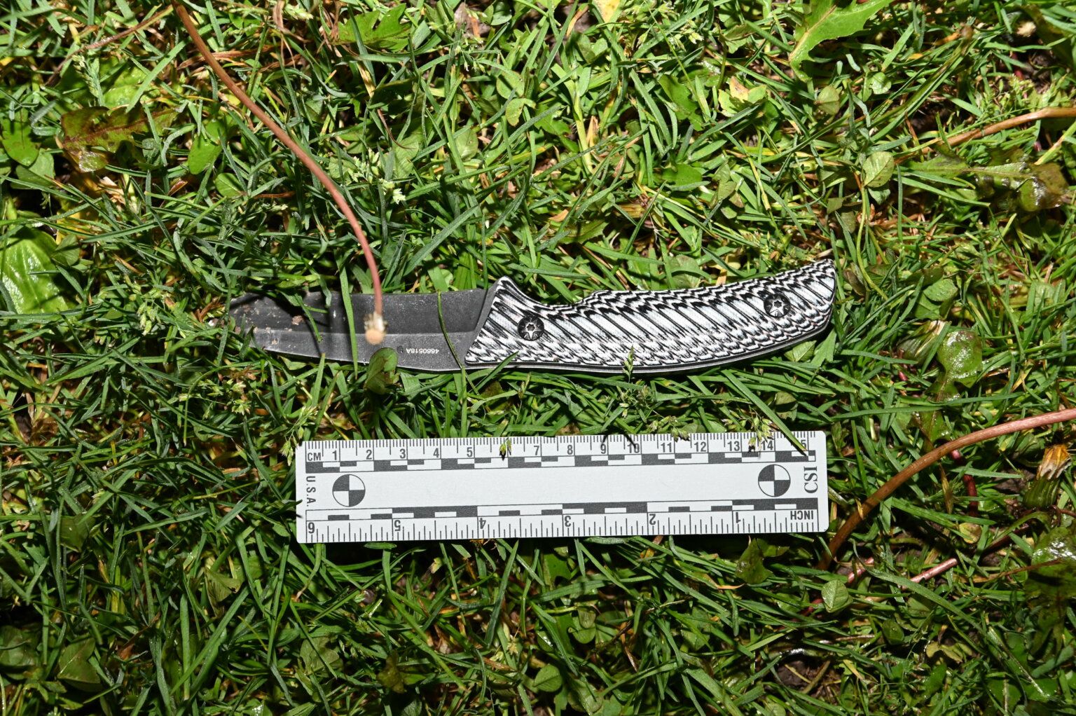 Police Taser knifethrowing man Sault Star