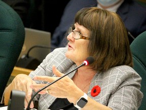 Susan Thayer speaks to Algoma District School Board trustees during a meeting on Tuesday, Nov. 1, 2022 in Sault Ste. Marie, Ont. (BRIAN KELLY/THE SAULT STAR/POSTMEDIA NETWORK)