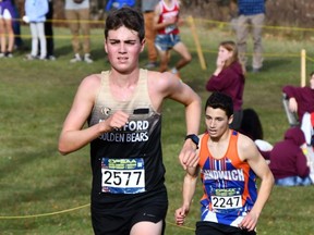 Luke Feltham was the top local runner at the provincial cross-country championships. The Stratford District secondary school senior finished 11th Saturday in Uxbridge.