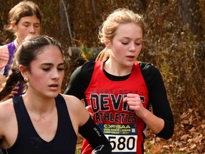 Woodstock Collegiate’s Charlotte Piscione was the top Oxford County runner at the OFSAA cross-country championships Saturday in Uxbridge.
