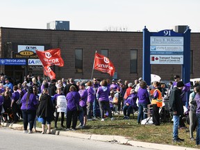 Large crowds of Canadian Union of Public Employees from the Chatham area and their supporters picketed outside Chatham-Kent-Leamington MPP Trevor Jones' office on Riverview Drive in Chatham on Nov. 4. Tom Morrison/Chatham This Week