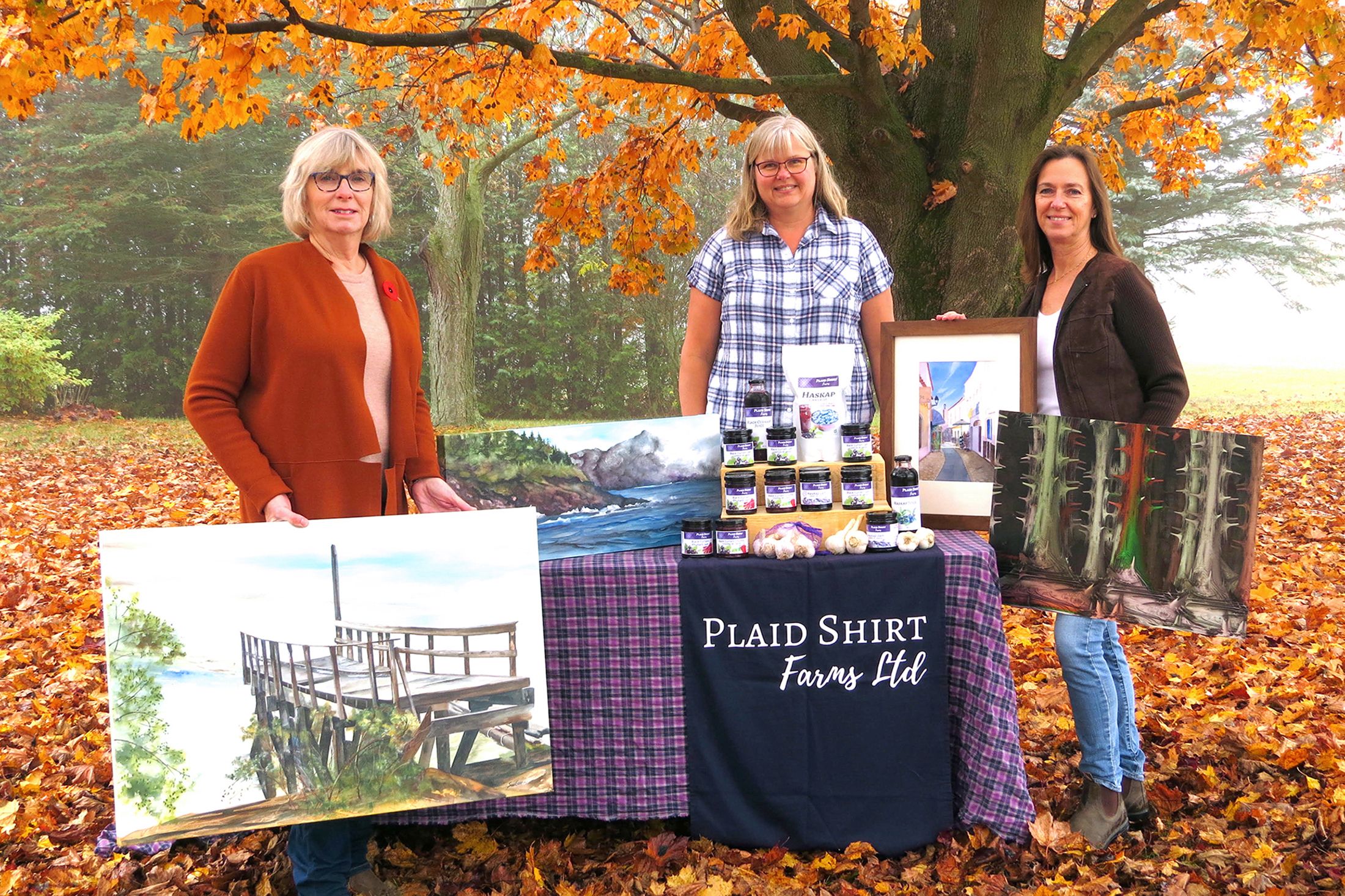 Experience a ‘world of creativity’ at Back to Otterville