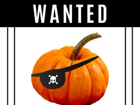 1124 kn pumpkin pirate