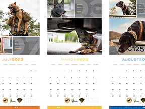 The 2023 OPP Canine Unit Calendar is on sale and raises money for charities. Handout
