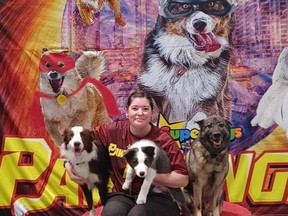 Megan Kitchener y sus perros, desde la izquierda, Strider, Pursuit y Rowen, actuaron con SuperDogs en el Royal Agricultural Winter Show de este año que se llevó a cabo en Expo Place en Toronto del 4 al 13 de noviembre.